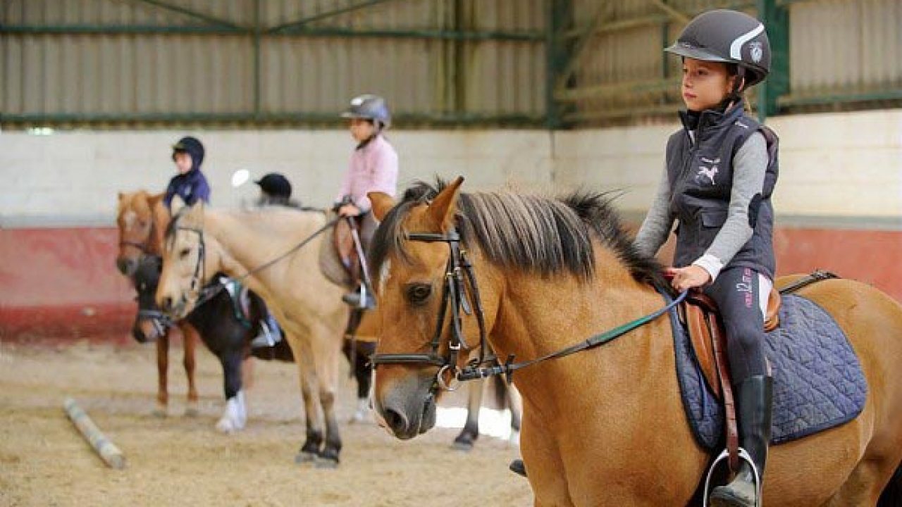 Gouter D Anniversaire Don T Panic Avec Le Poney Club Ucpa