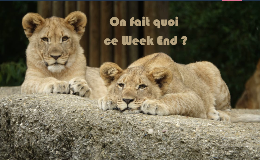 bon plan week end lyon famille