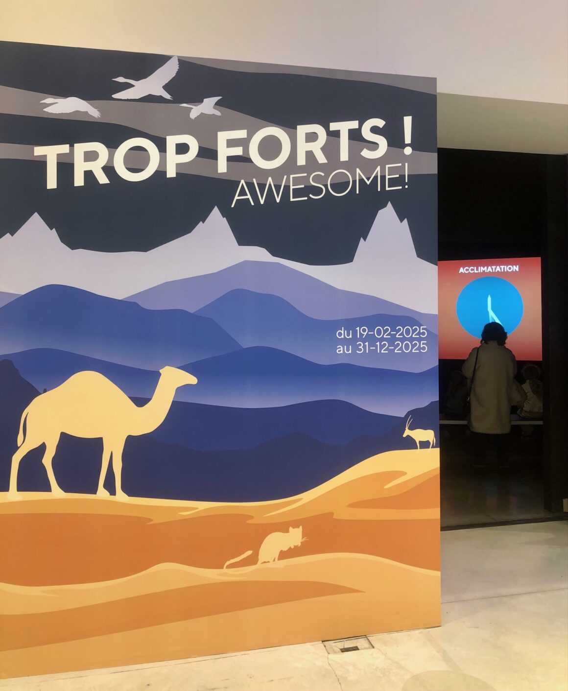 "Trop forts !", la nouvelle expo spéciale enfants du Musée des Confluences