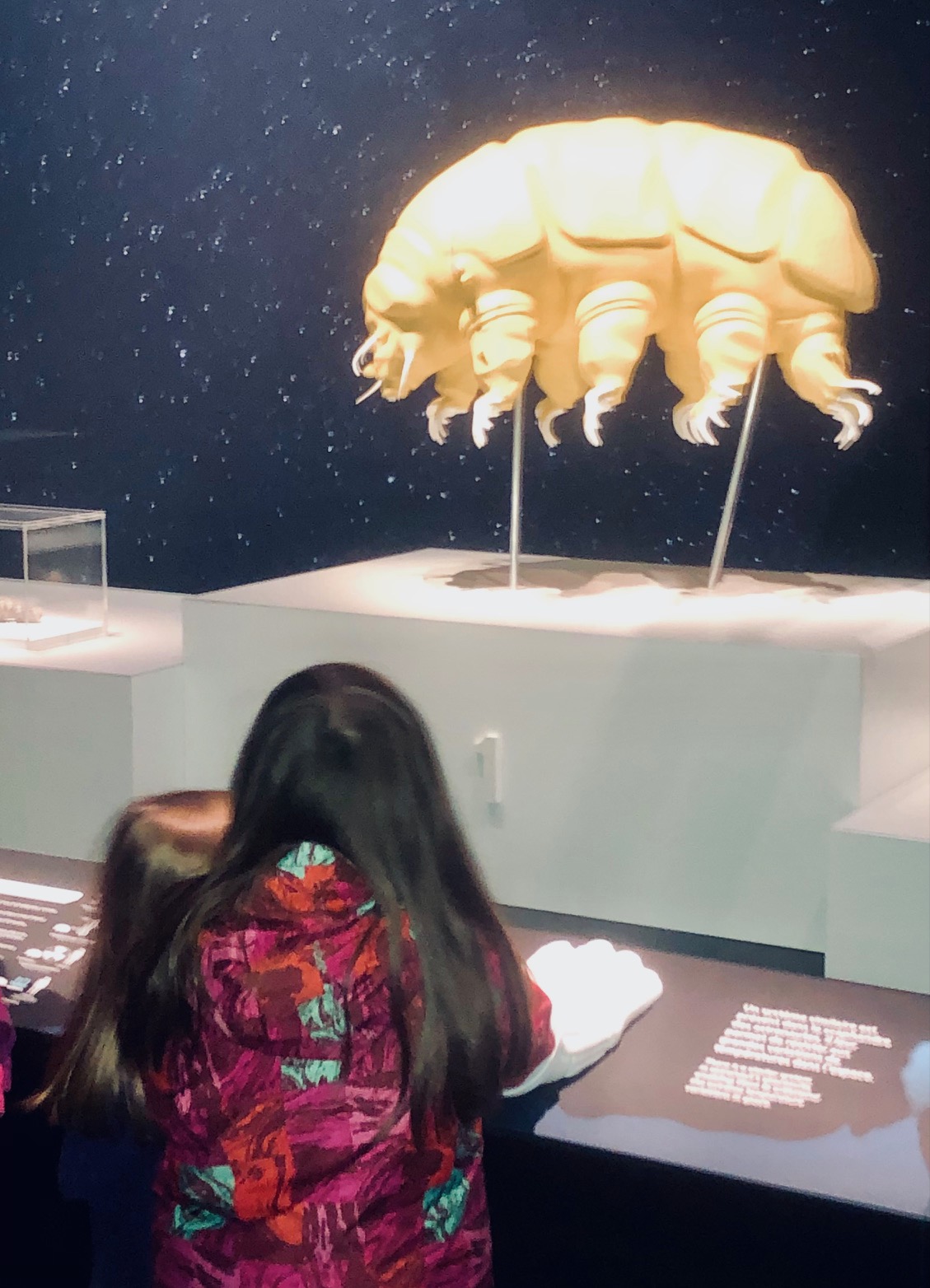 "Trop forts !", la nouvelle expo spéciale enfants du Musée des Confluences