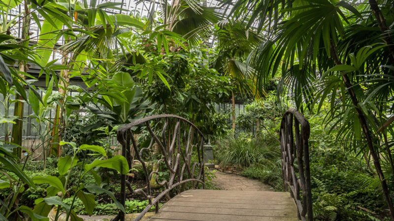 Pendant toutes les vacances d'avril 2025, découvrez les activités de Lyon Nature à destination de tous ! 