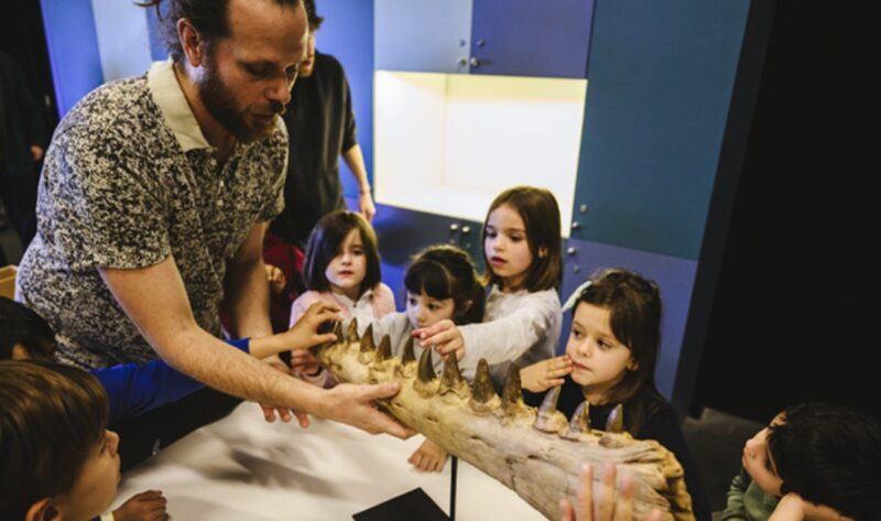 Visite pour les enfants au Musée des Confluences Visite pour les enfants au Musée des Confluences