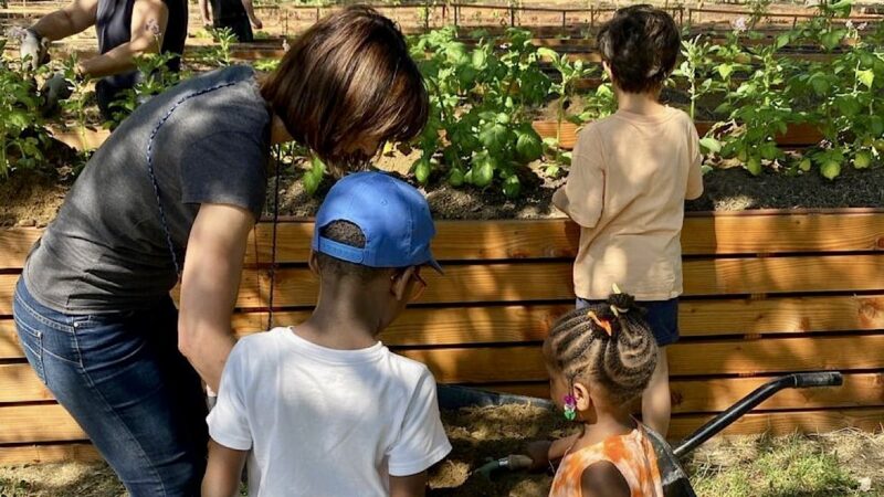 Samedi 17 mai 2025, profitez d'une journée au Jardin de la Sarra dans le 5e arrondissement, en partenariat avec la BM de Lyon. 