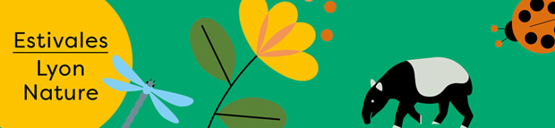 Lyon Nature propose une programmation d'ateliers tout le mois de juillet 2025 pour se (re)connecter avec notre environnement, en plein coeur du Parc de la Tête d'Or