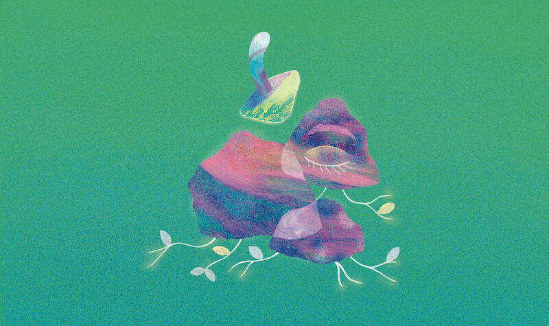 Entre théâtre et musique, La foret dans nos têtes est une pièce ludique et poétique pour toute la famille. 