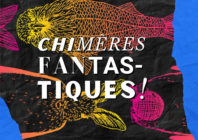 Défilé déjanté 14 èm édition