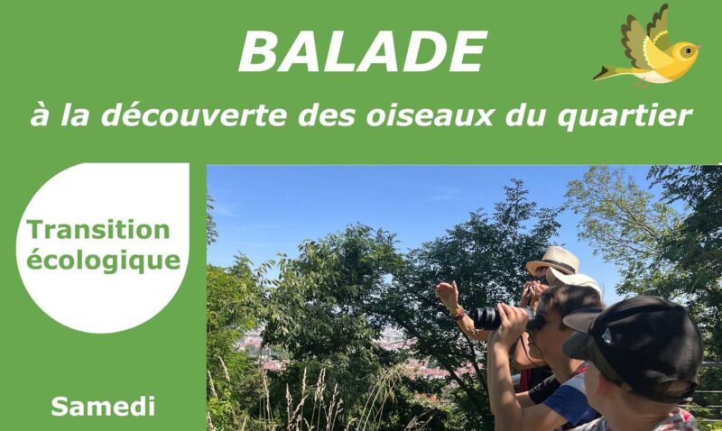 Balade matinale dans le 5e arrondissement samedi 13 septembre 2025 pour découvrir en famille, les oiseaux du quartier. 