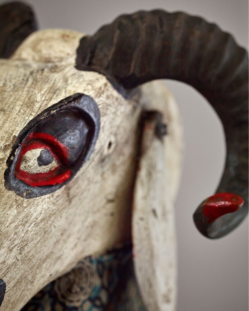 Expo avec des animaux au Musée des Confluences