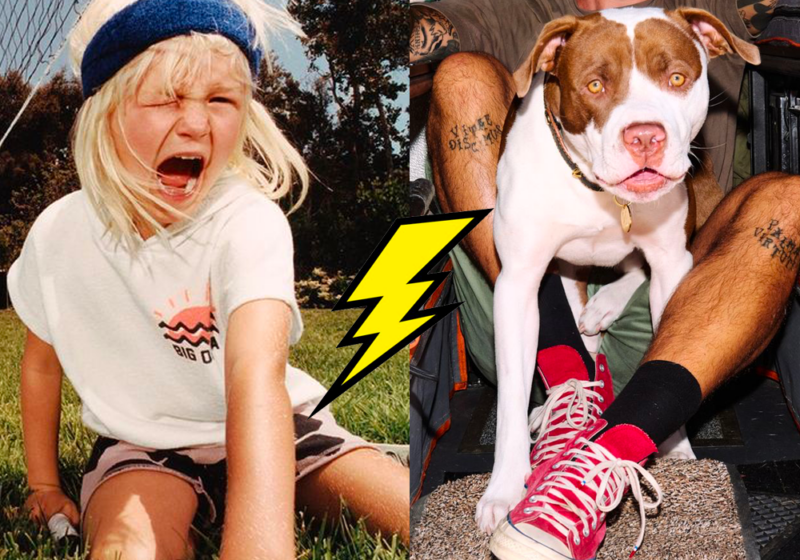 Chien ou enfant faut-il choisir ? 