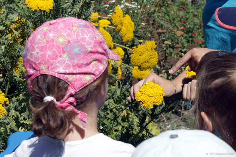 Atelier participatif 100% nature avec L'iloz le dimanche 12 avril 2026